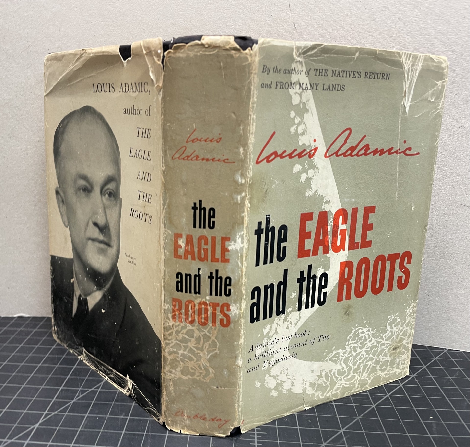 The Eagle and the Roots