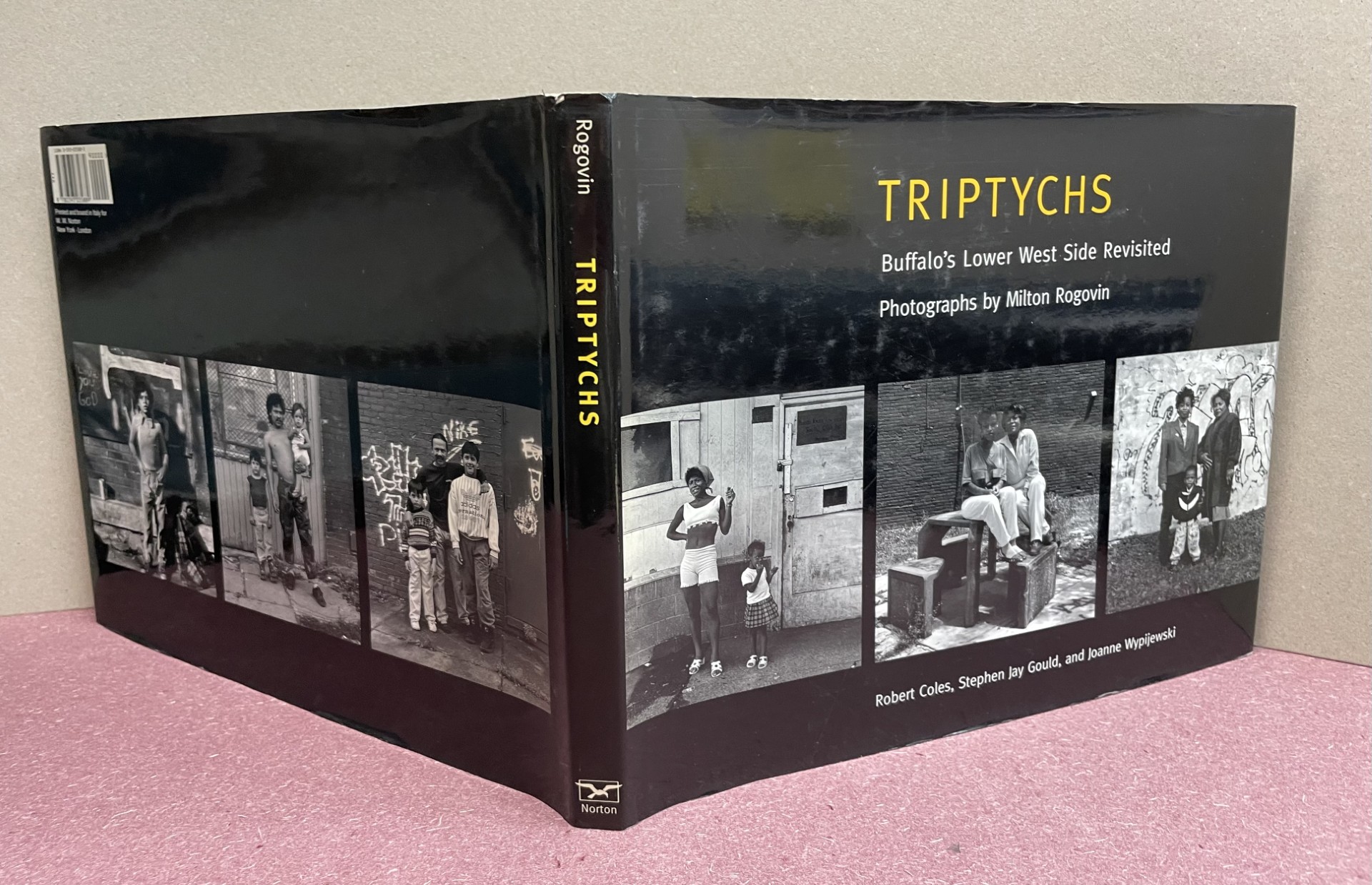 Triptychs: Buffalo's Lower West Side Revisited