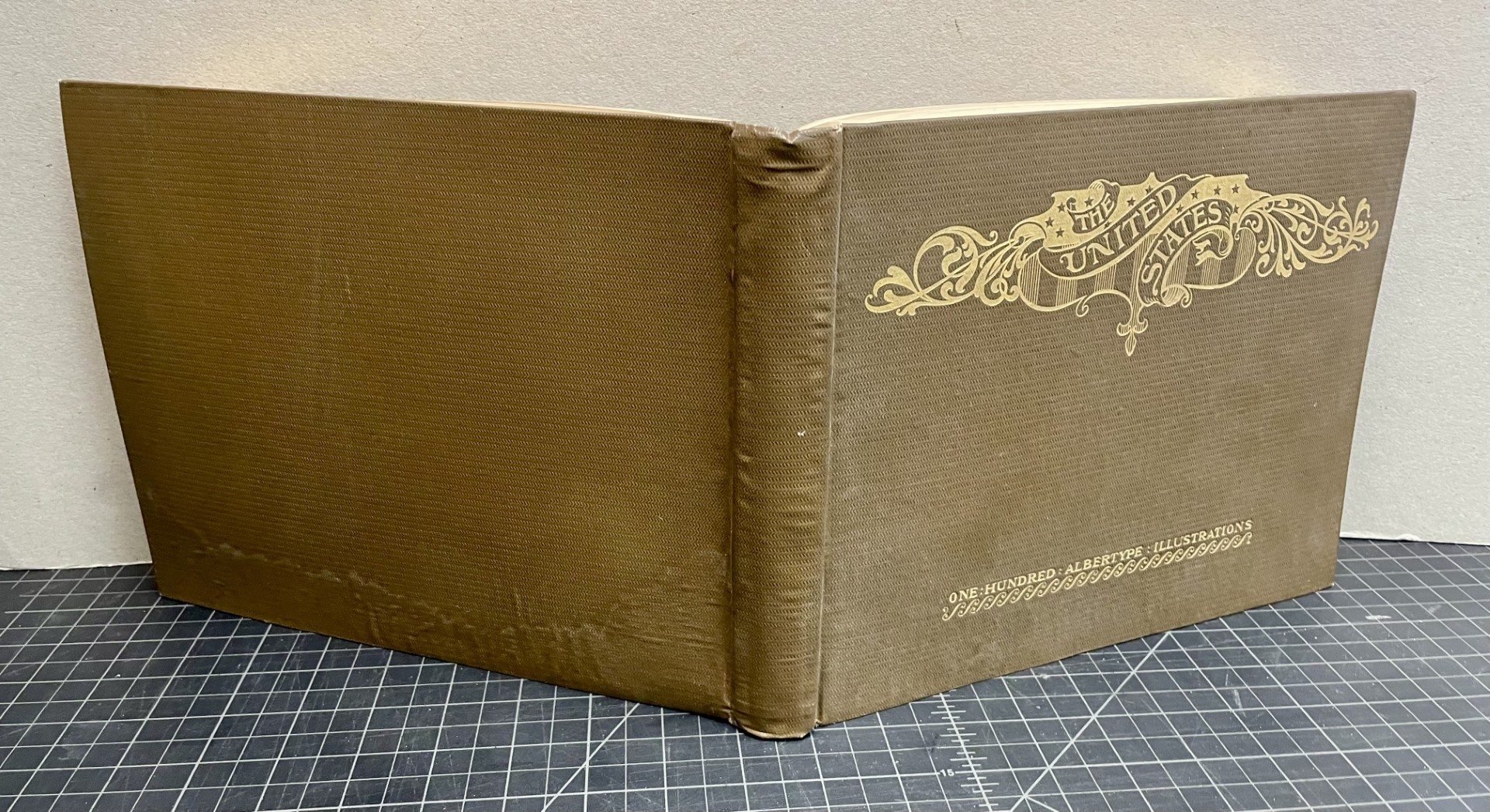 The United States of America : One Hundred Albertype Illustrations