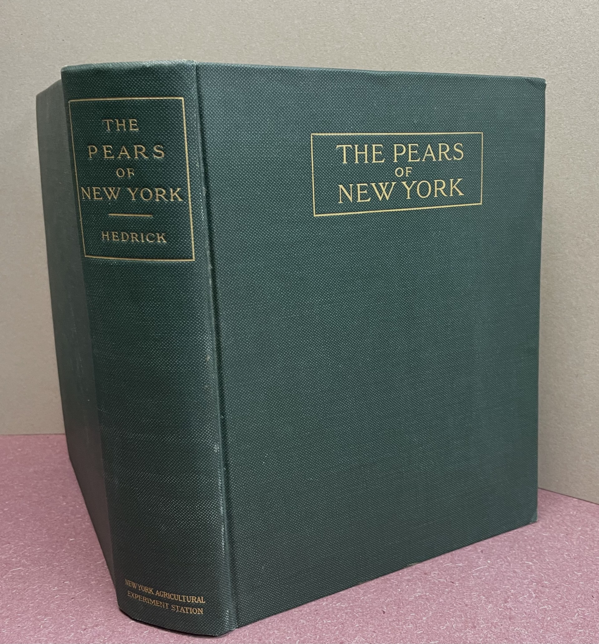 THE PEARS OF NEW YORK : State of New York - Department of Agriculture - Twenty-Ninth Annual Report - Vol. 2 , Part II