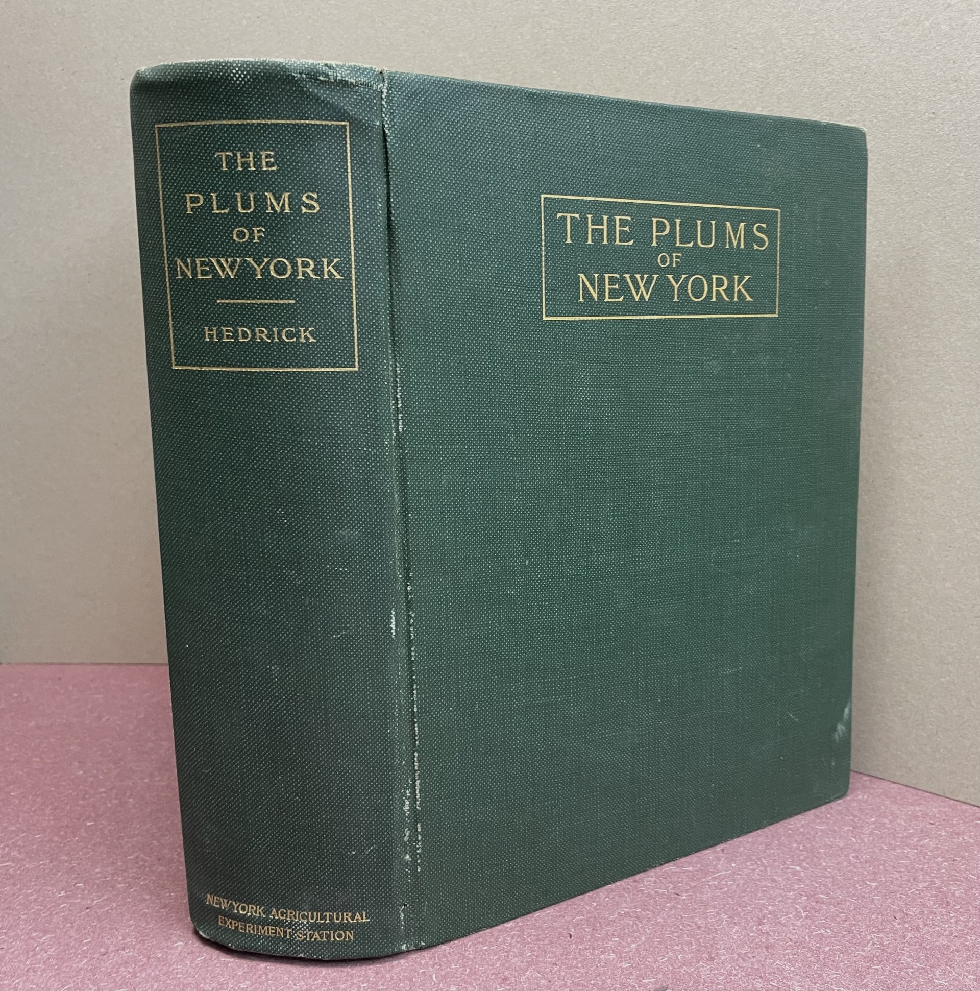 THE PLUMS OF NEW YORK : State of New York - Department of Agriculture - Eighteenth Annual Report - Vol. 3 - Part II
