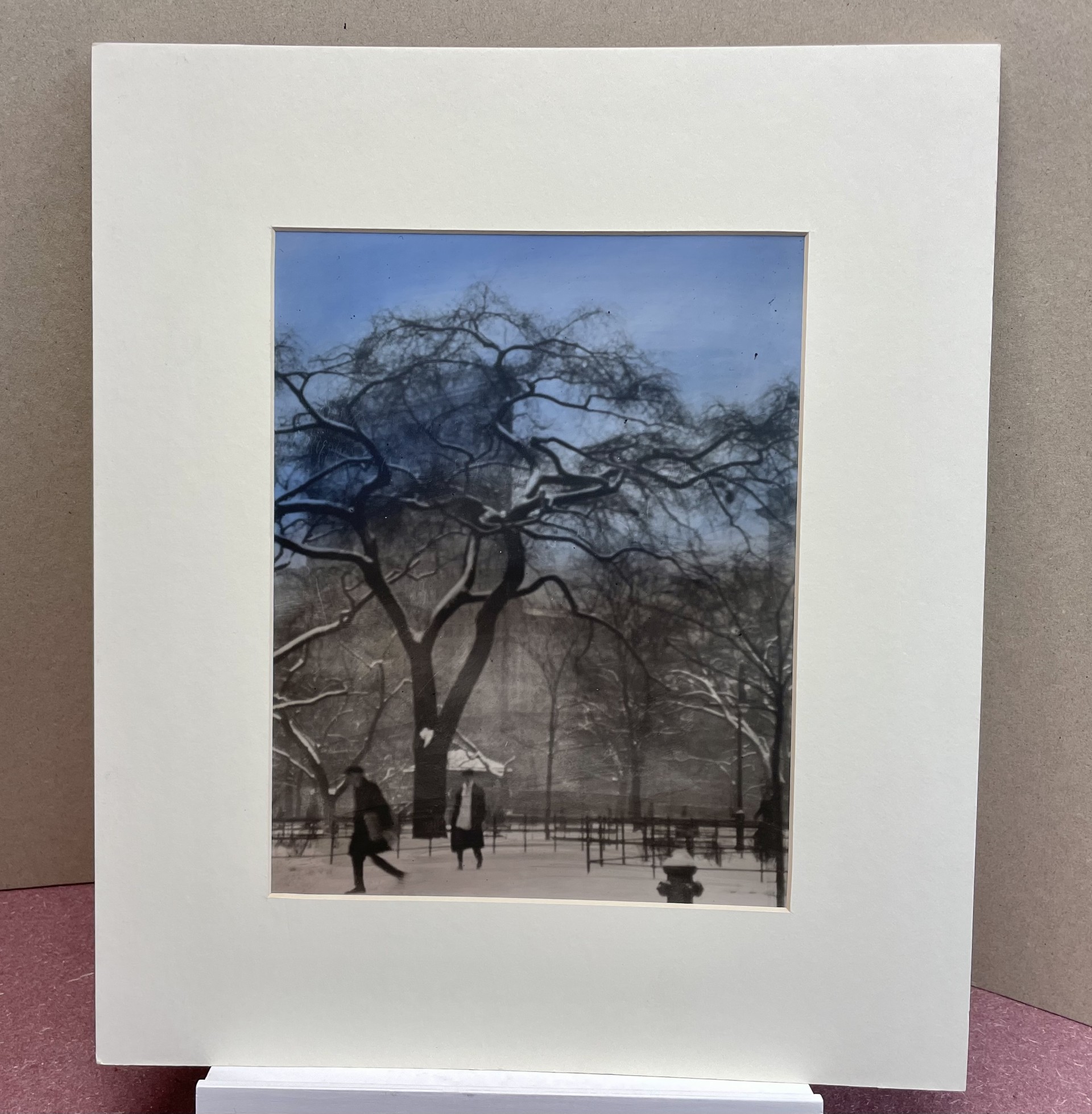 New York City Park / Flat-Iron Building