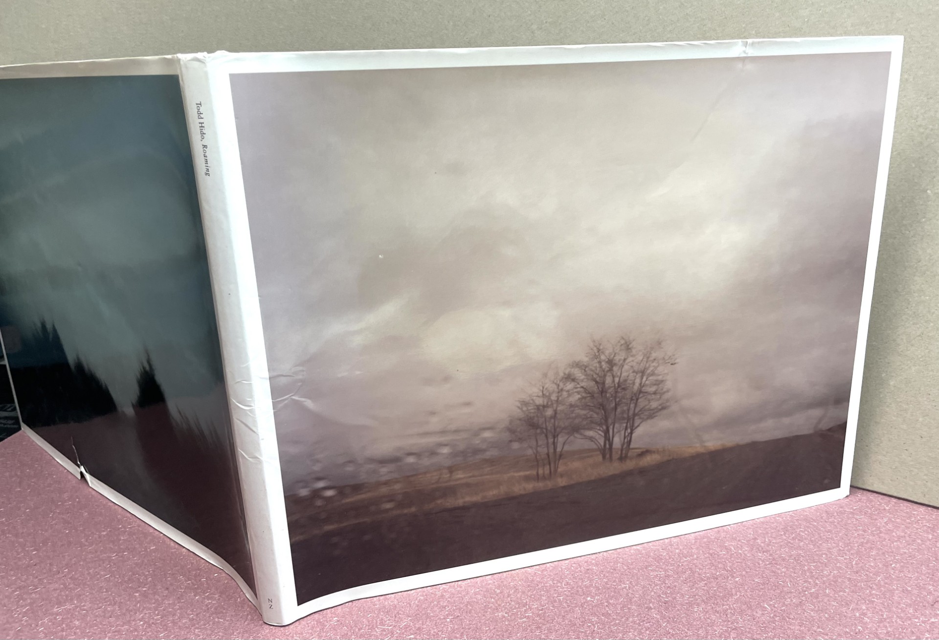 TODD HIDO, ROAMING : Landscape Photographs 1994 - 2004