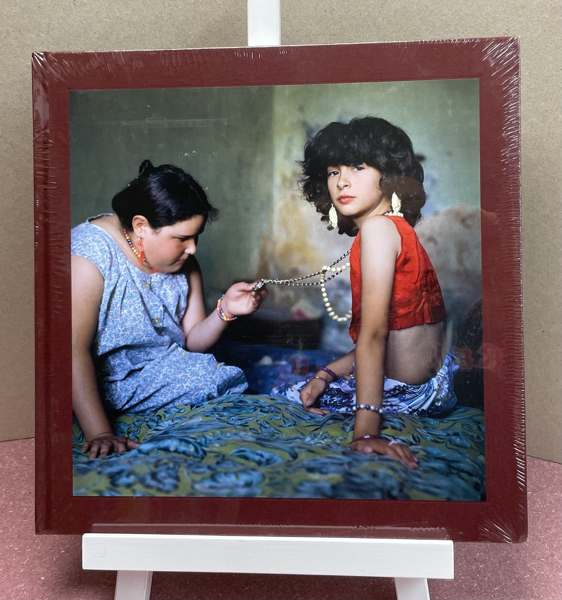 Image for THE ADVENTURES OF GUILLE AND BELINDA AND THE ENIGMATIC MEANING OF THEIR DREAMS THE ADVENTURES OF GUILLE AND BELINDA AND THE ENIGMATIC MEANING OF THEIR DREAMS