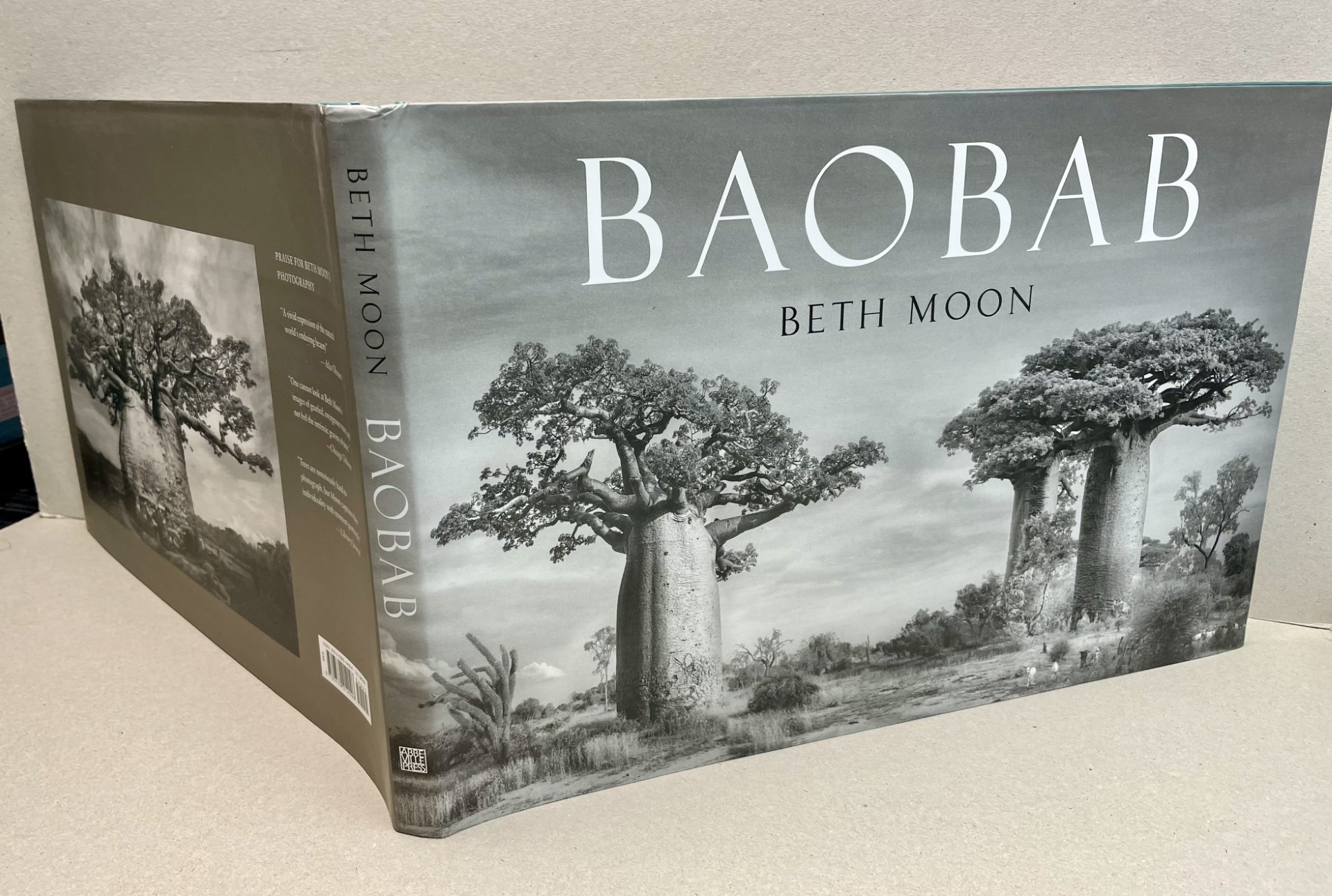 Image for BAOBAB BAOBAB