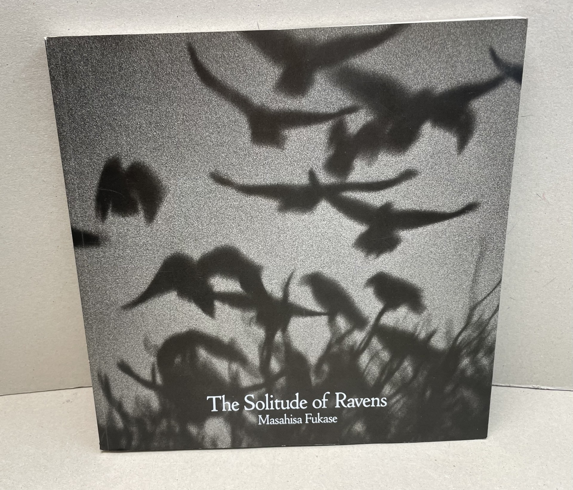 Image for The Solitude of Ravens The Solitude of Ravens