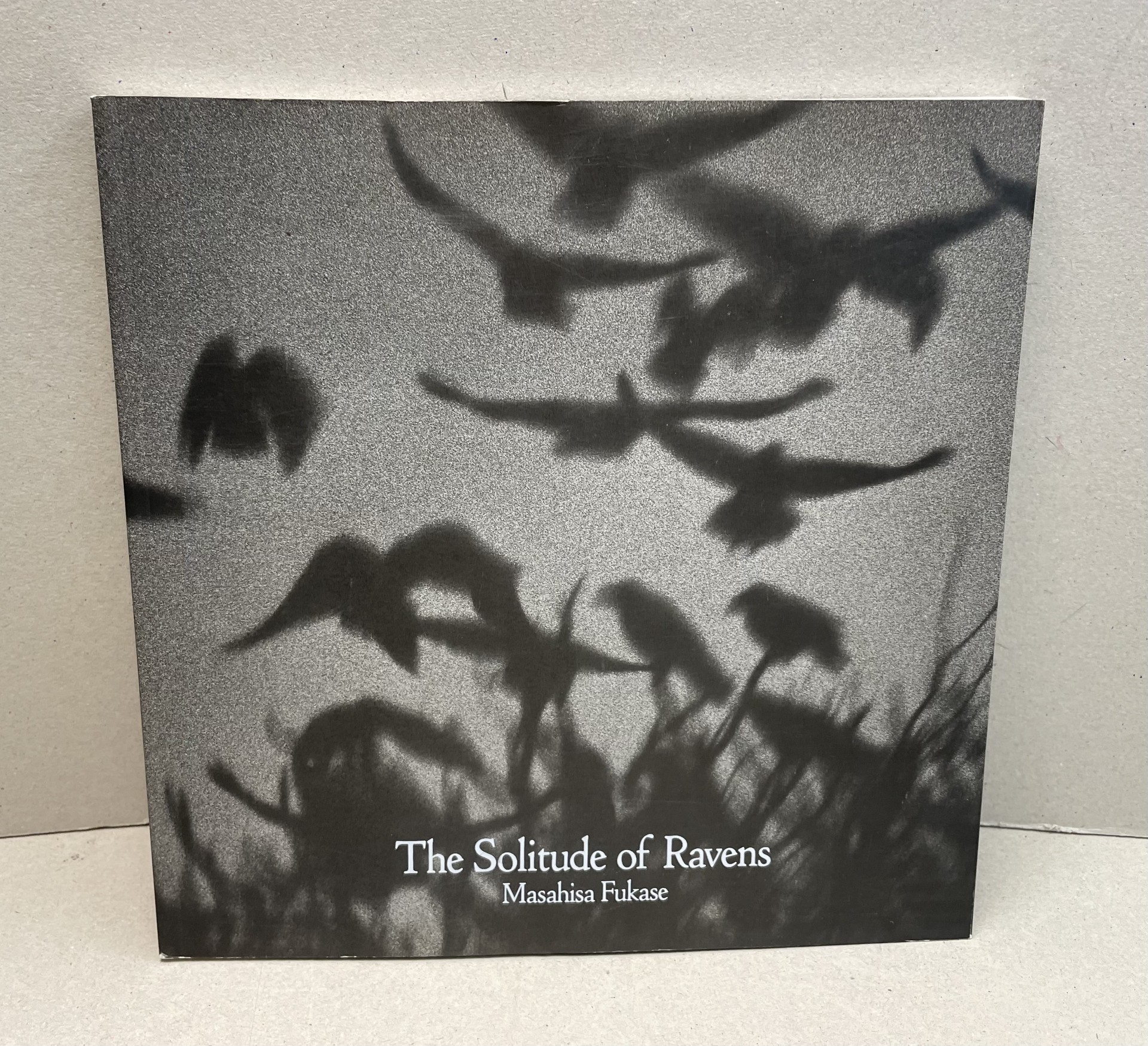 The Solitude of Ravens
