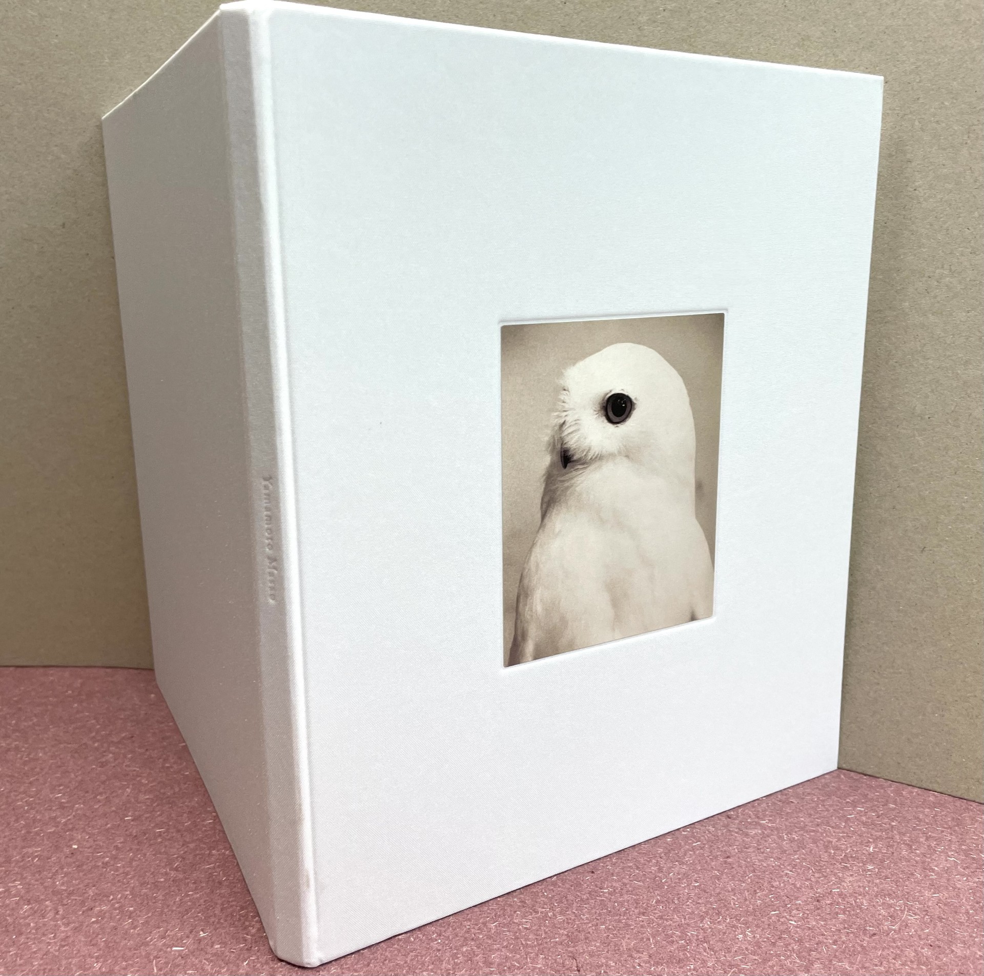 MASAO YAMAMOTO