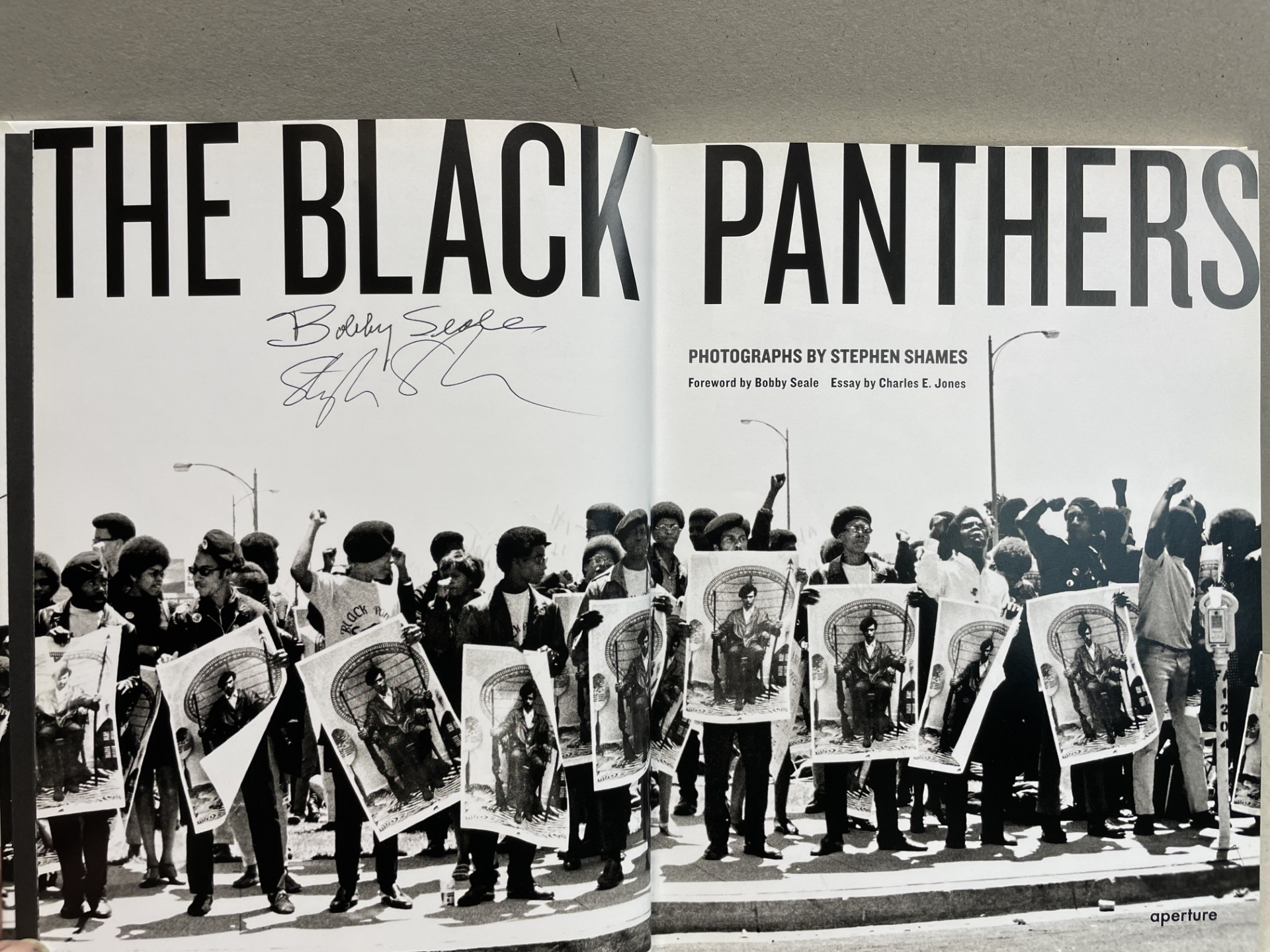 The Black Panthers: Photographs by Stephen Shames