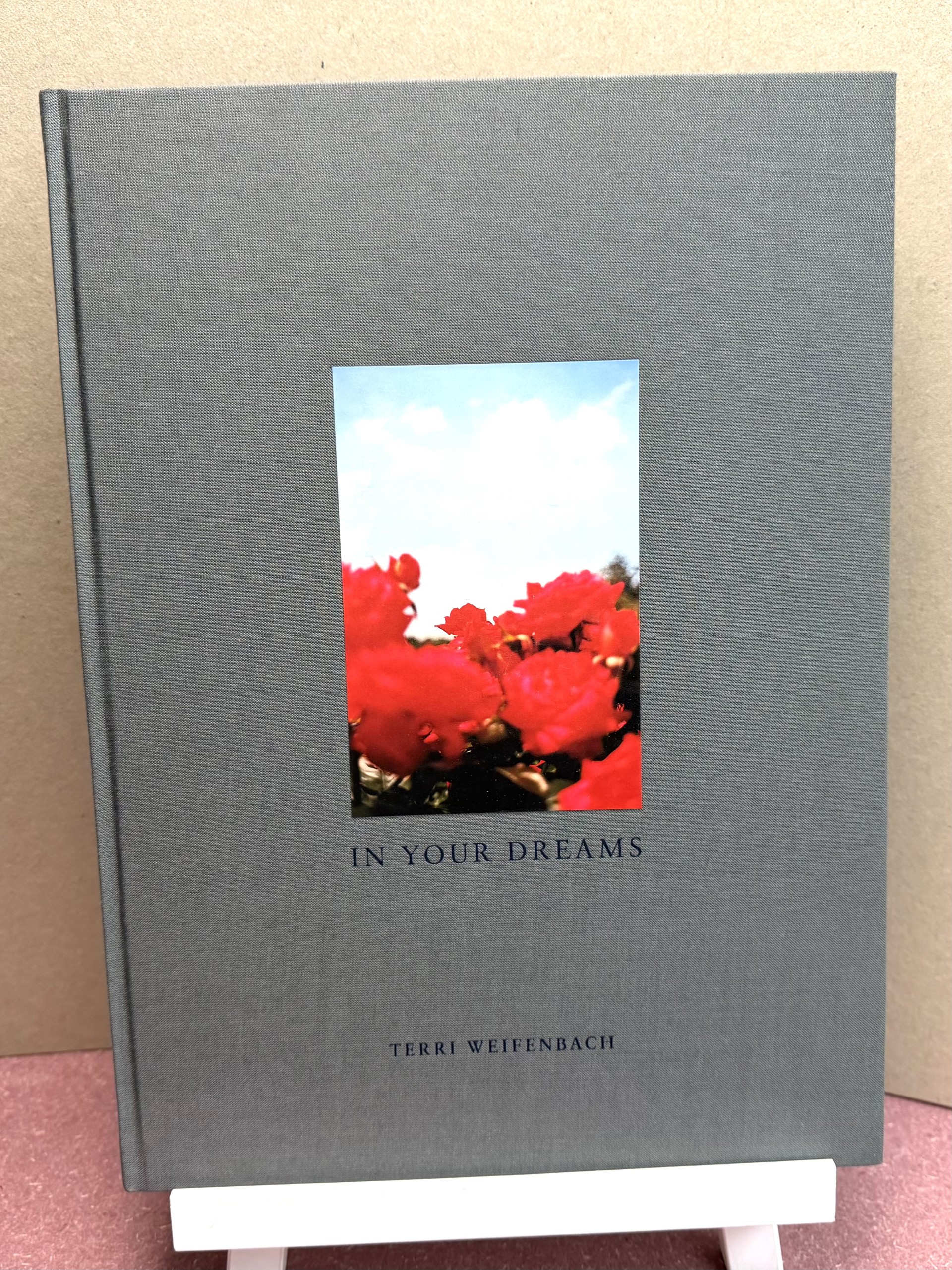 Image for IN YOUR DREAMS IN YOUR DREAMS