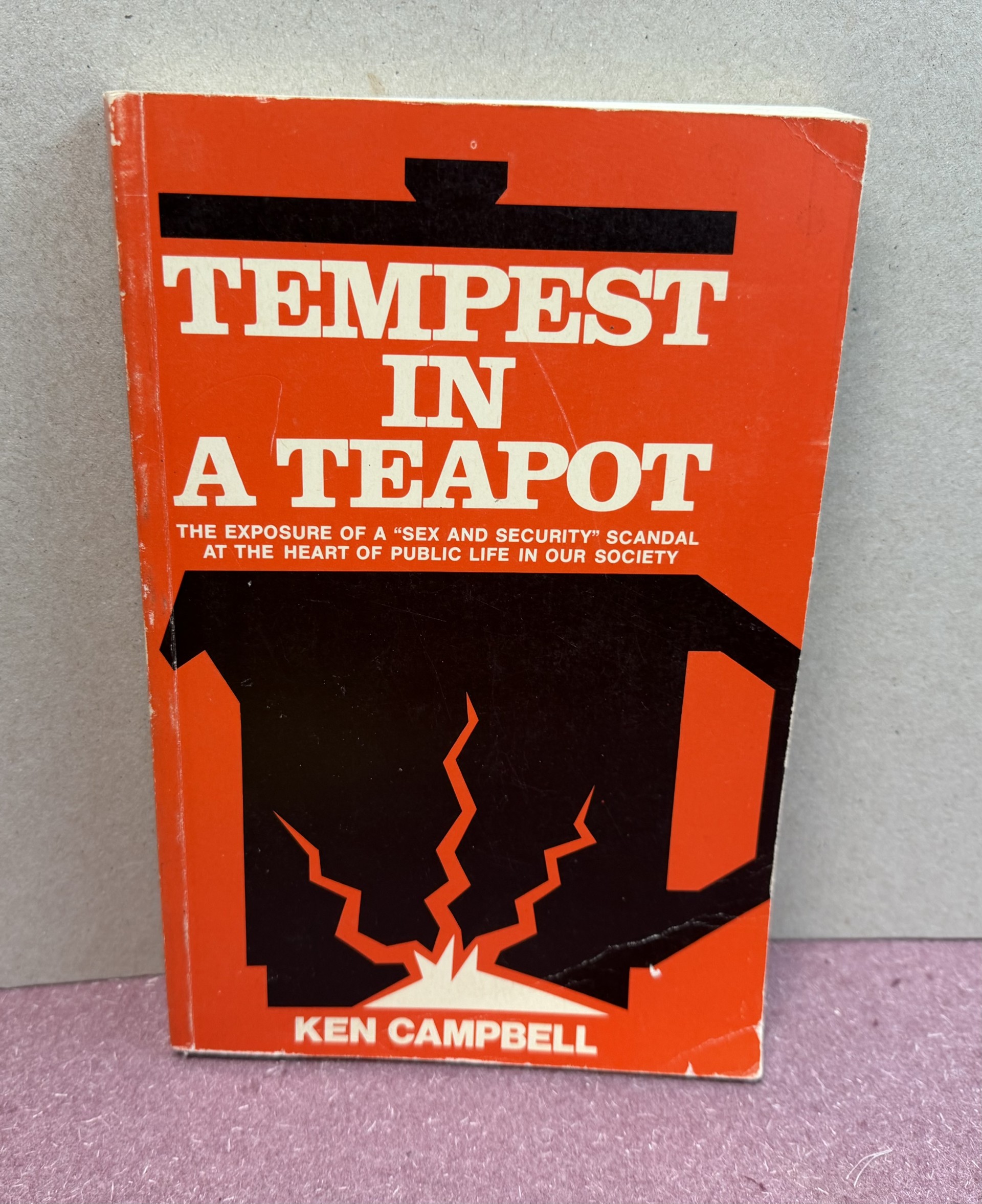 TEMPEST IN A TEAPOT: The Exposure of a 
