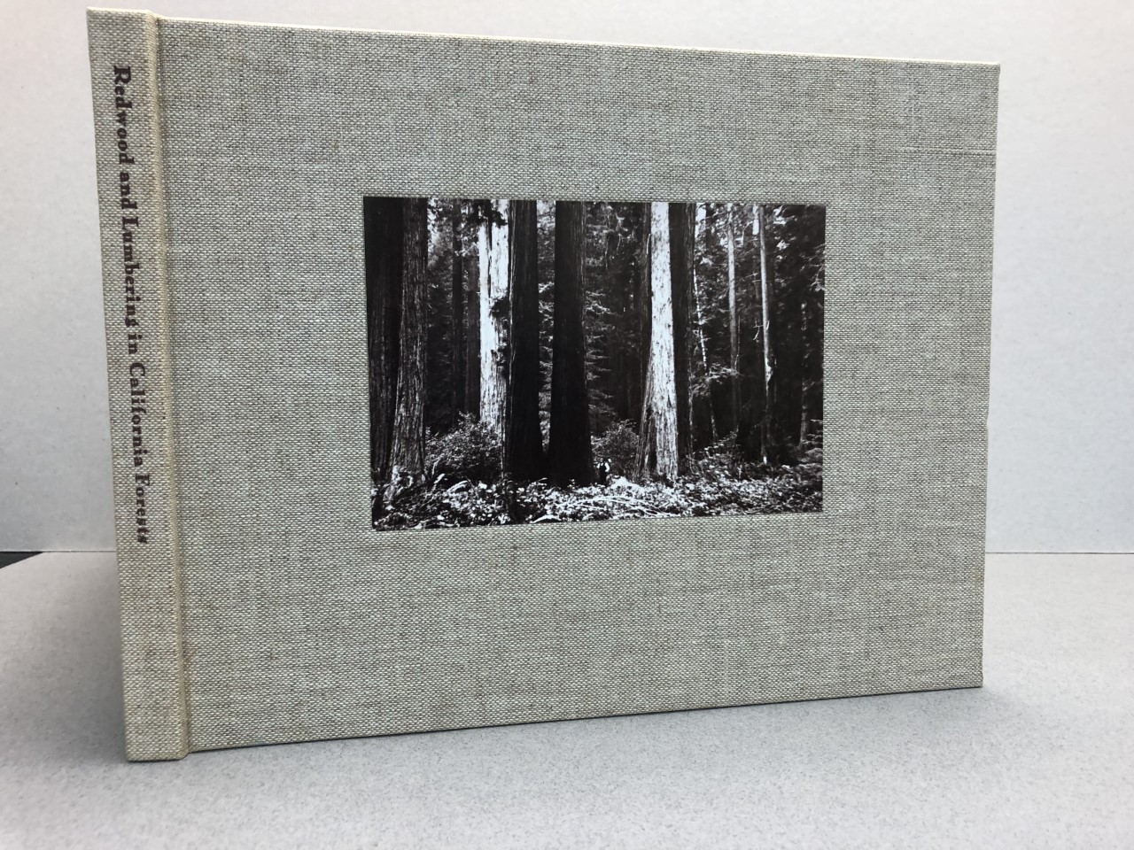 Image for REDWOOD and LUMBERING in CALIFORNIA FORESTS