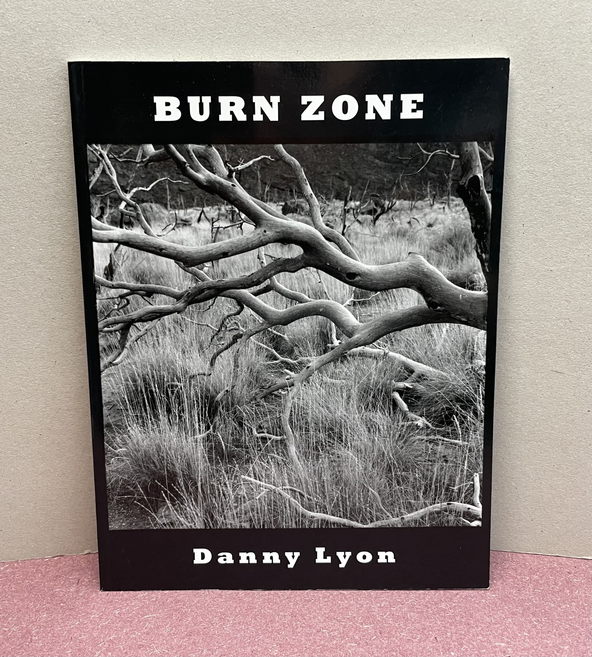 BURN ZONE