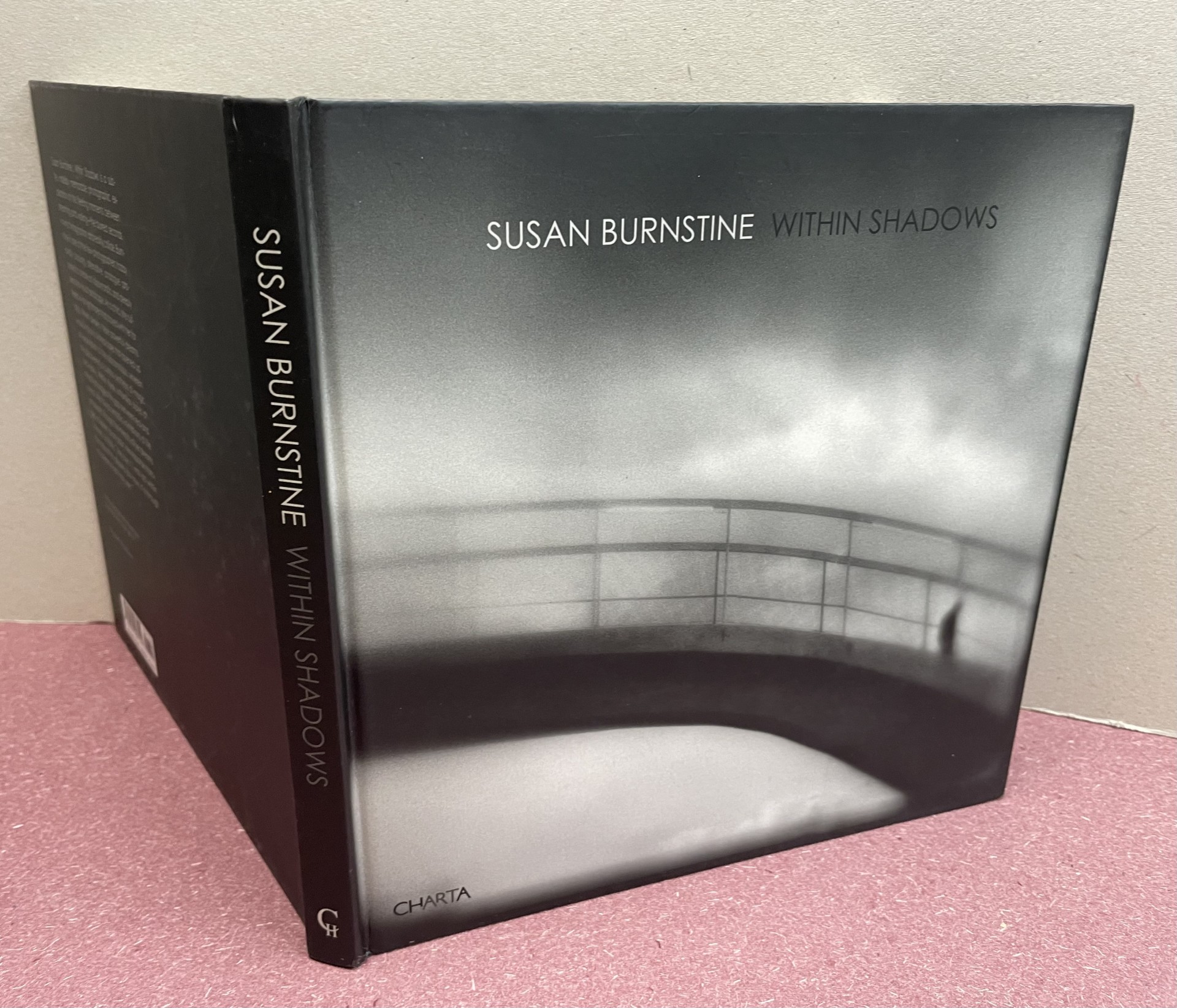 Susan Burnstine : Within Shadows