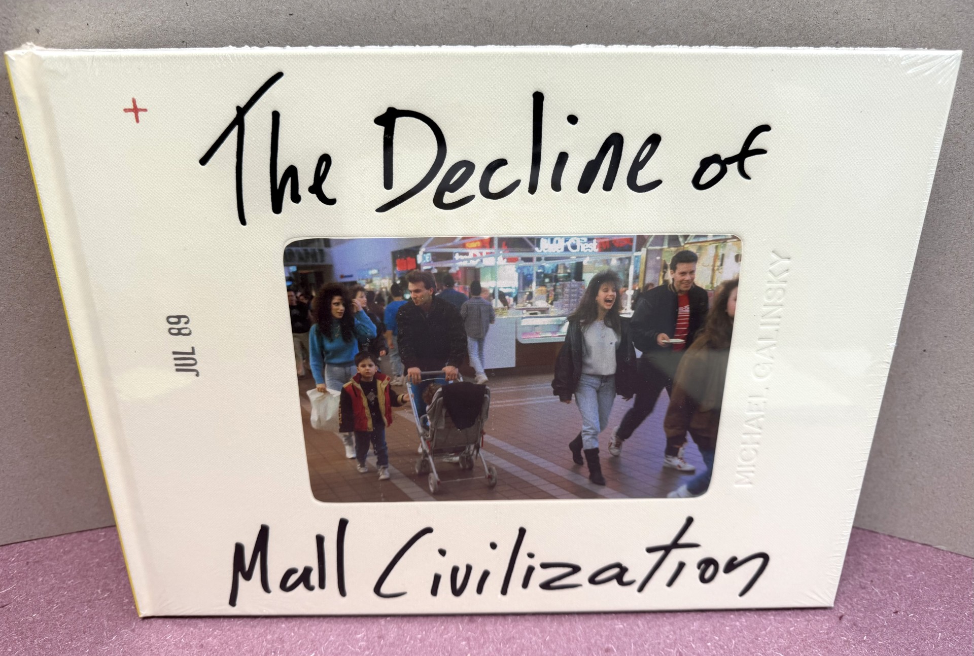 Image for THE DECLINE OF MALL CIVIZATION THE DECLINE OF MALL CIVIZATION