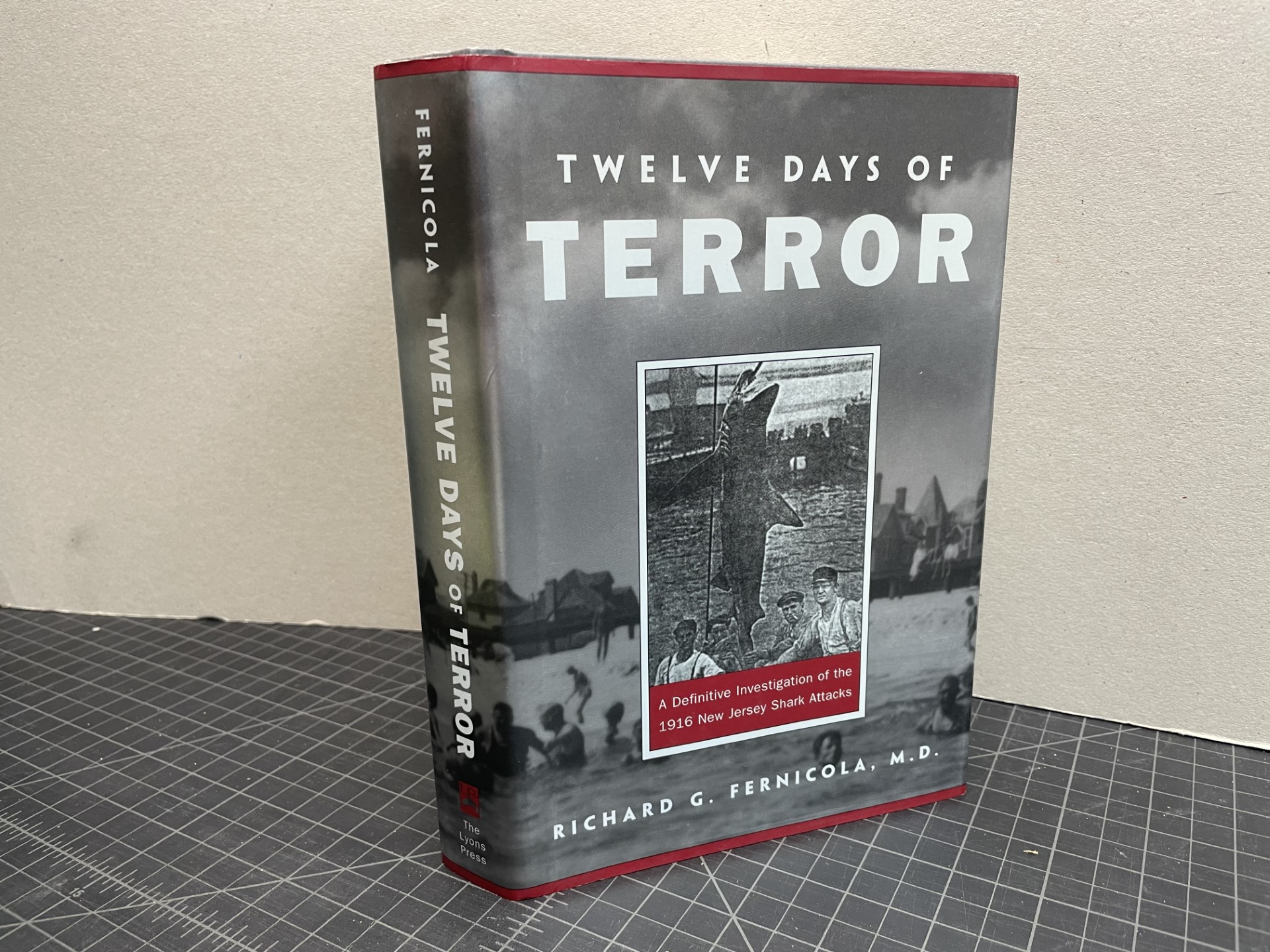 TWELVE DAYS OF TERROR : A Definitive Investigation of the 1916 New - Where Can I Watch 12 Days Of Terror