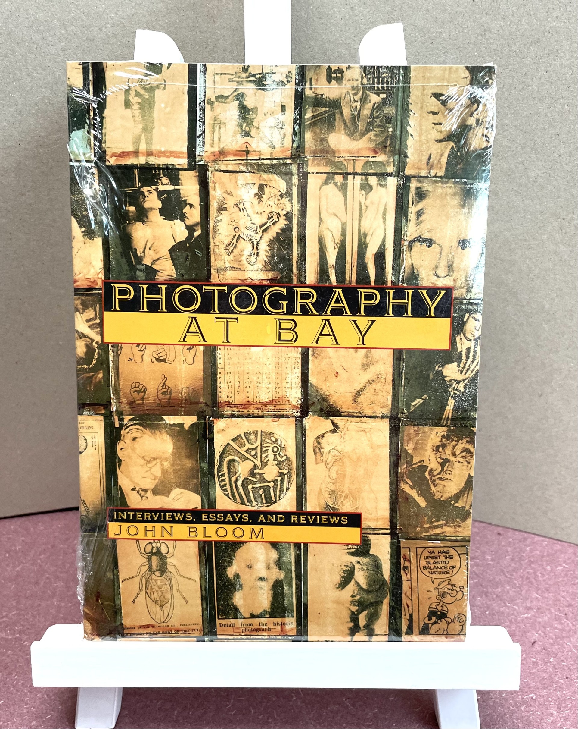 Photography at Bay: Interviews, Essays, and Reviews