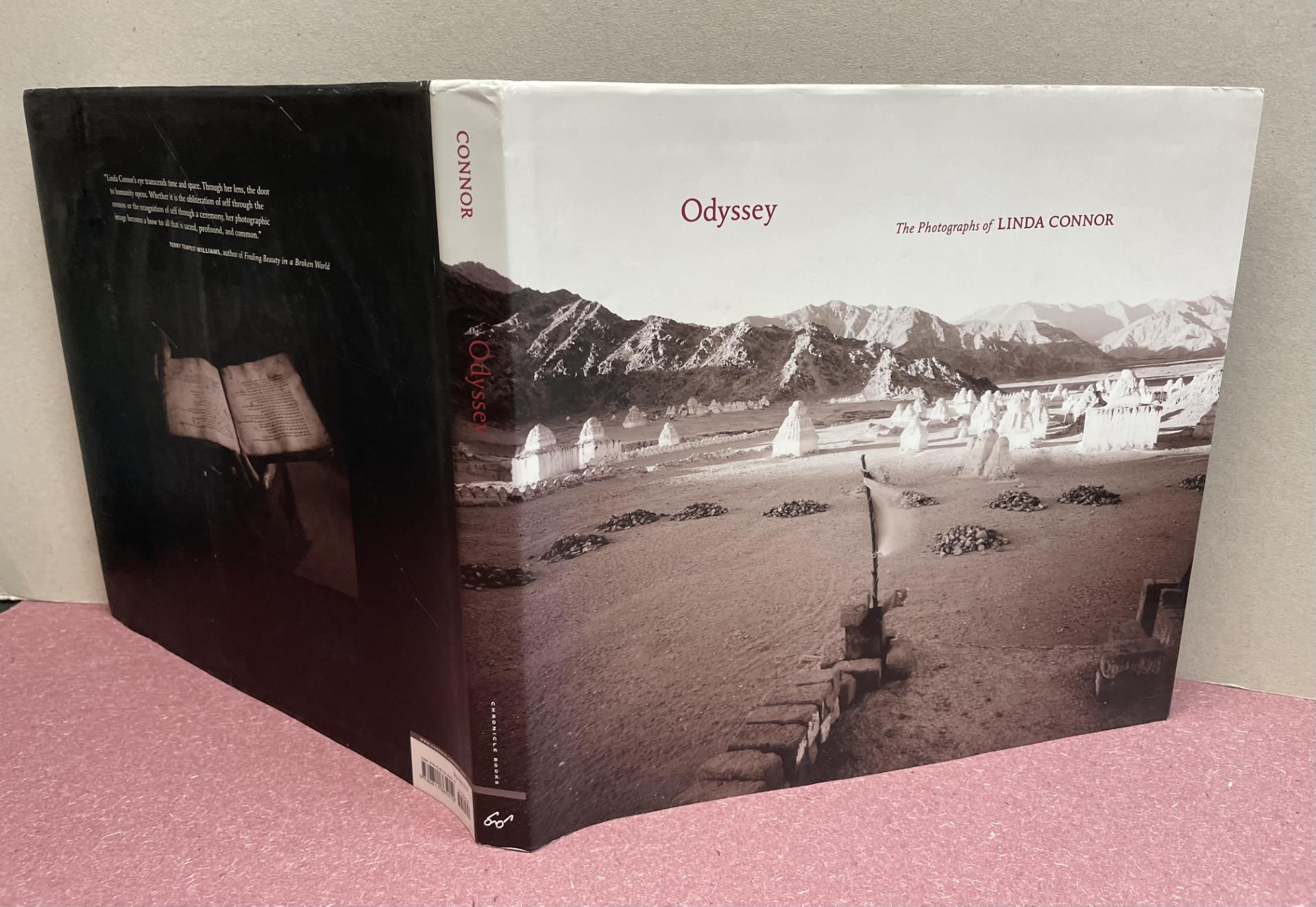 Odyssey: The Photographs of Linda Connor