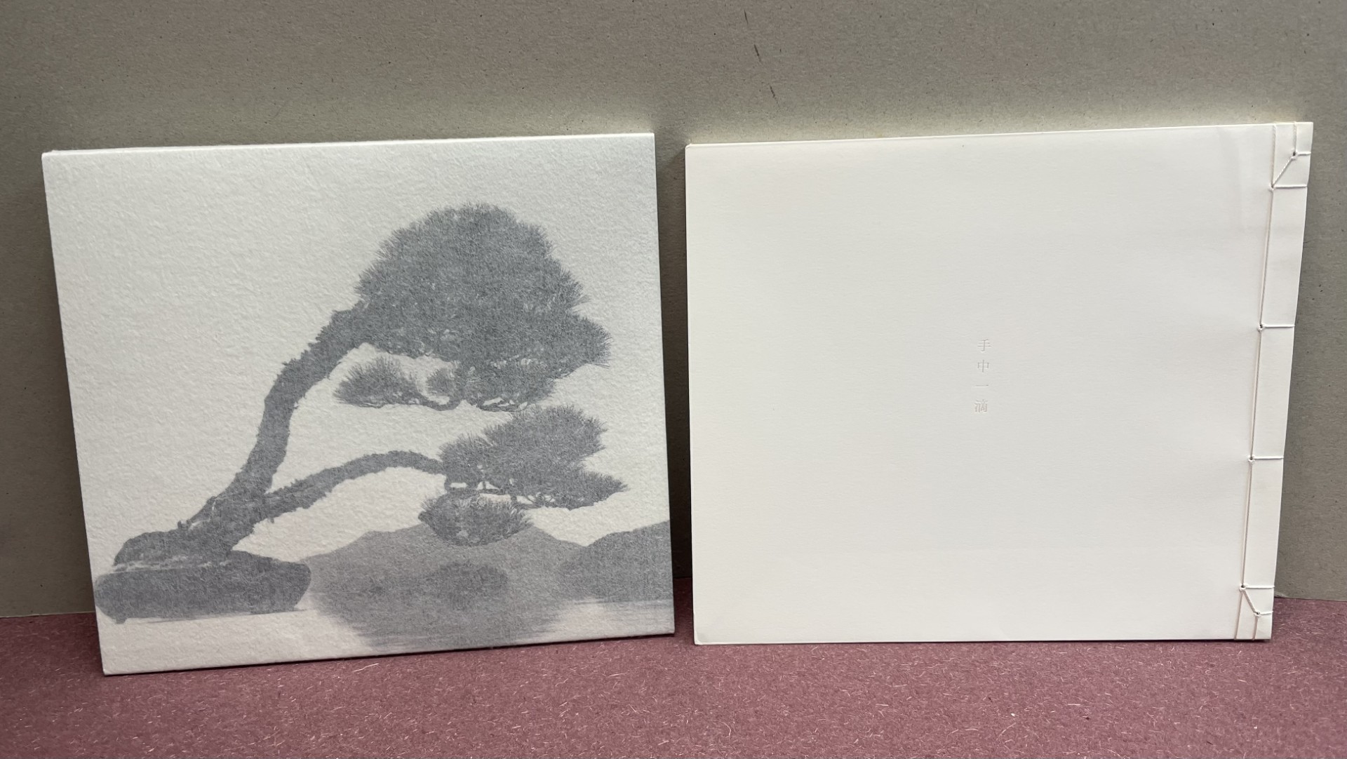 Bonsai - Microcoems Macrocosms