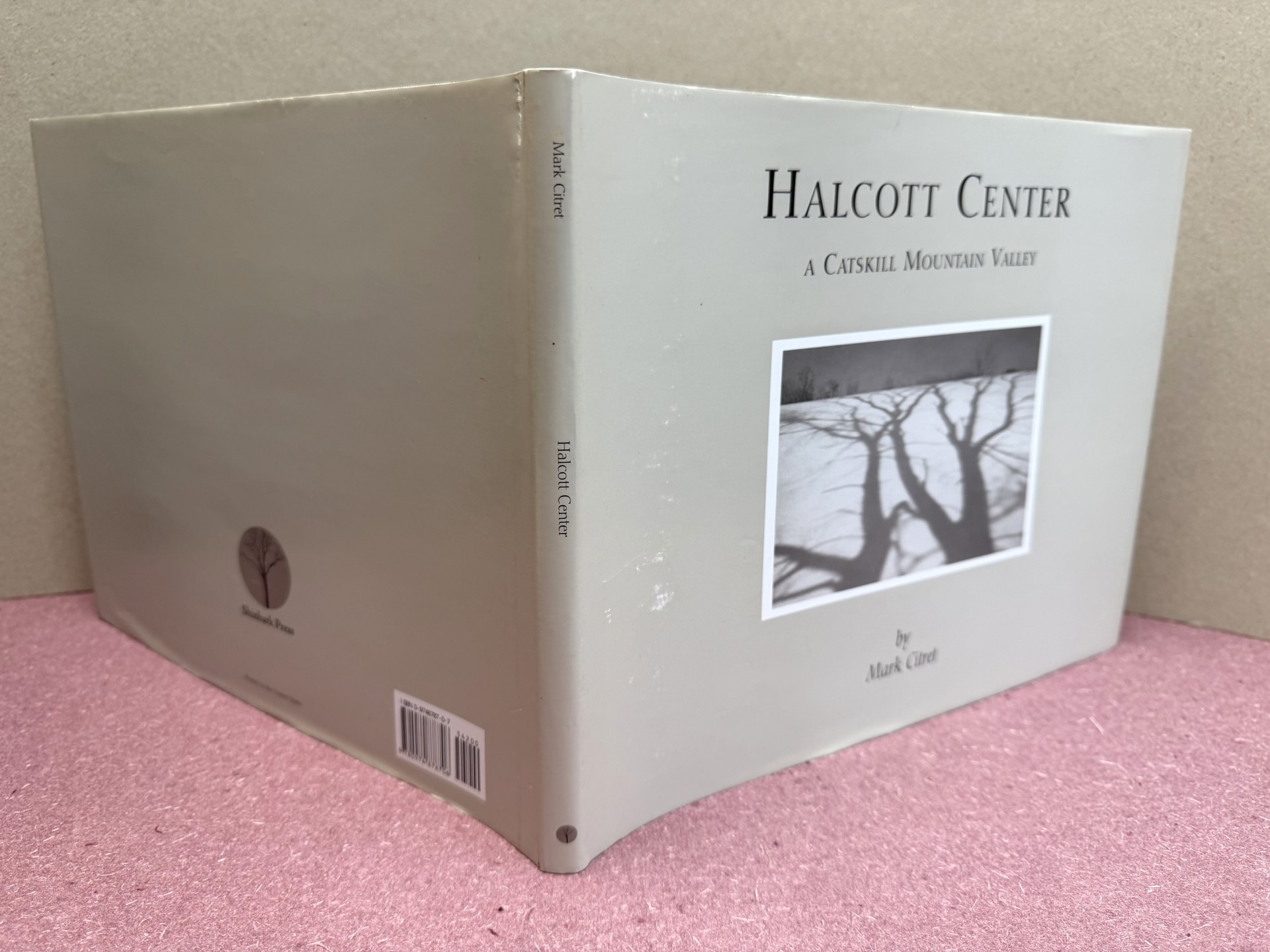 HALCOTT CENTER : A Catskill Mountain Valley