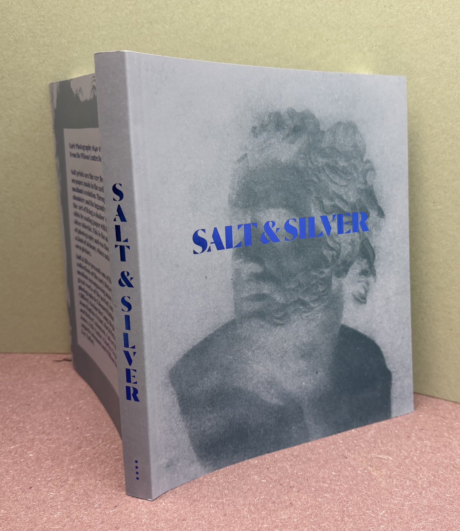 Image for Salt and Silver Salt and Silver