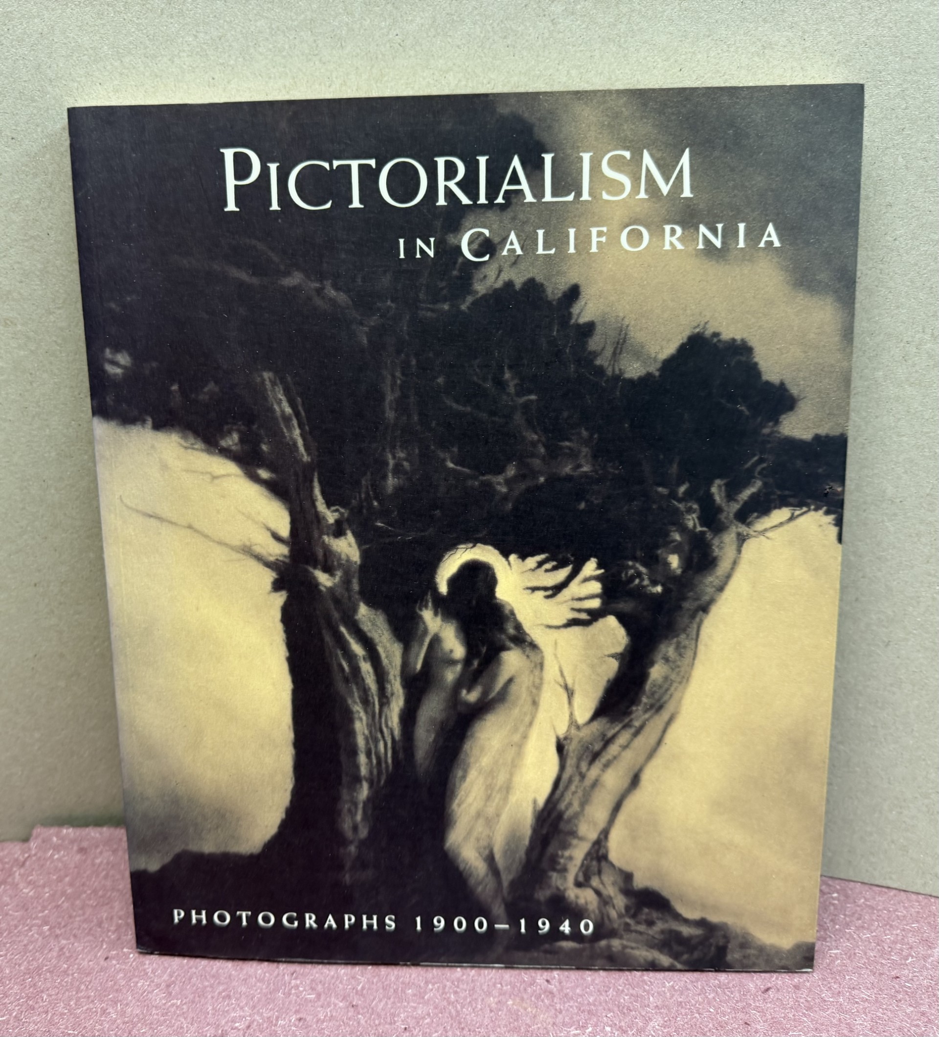 Image for Pictorialism in California: Photographs 1900-1940 Pictorialism in California: Photographs 1900-1940