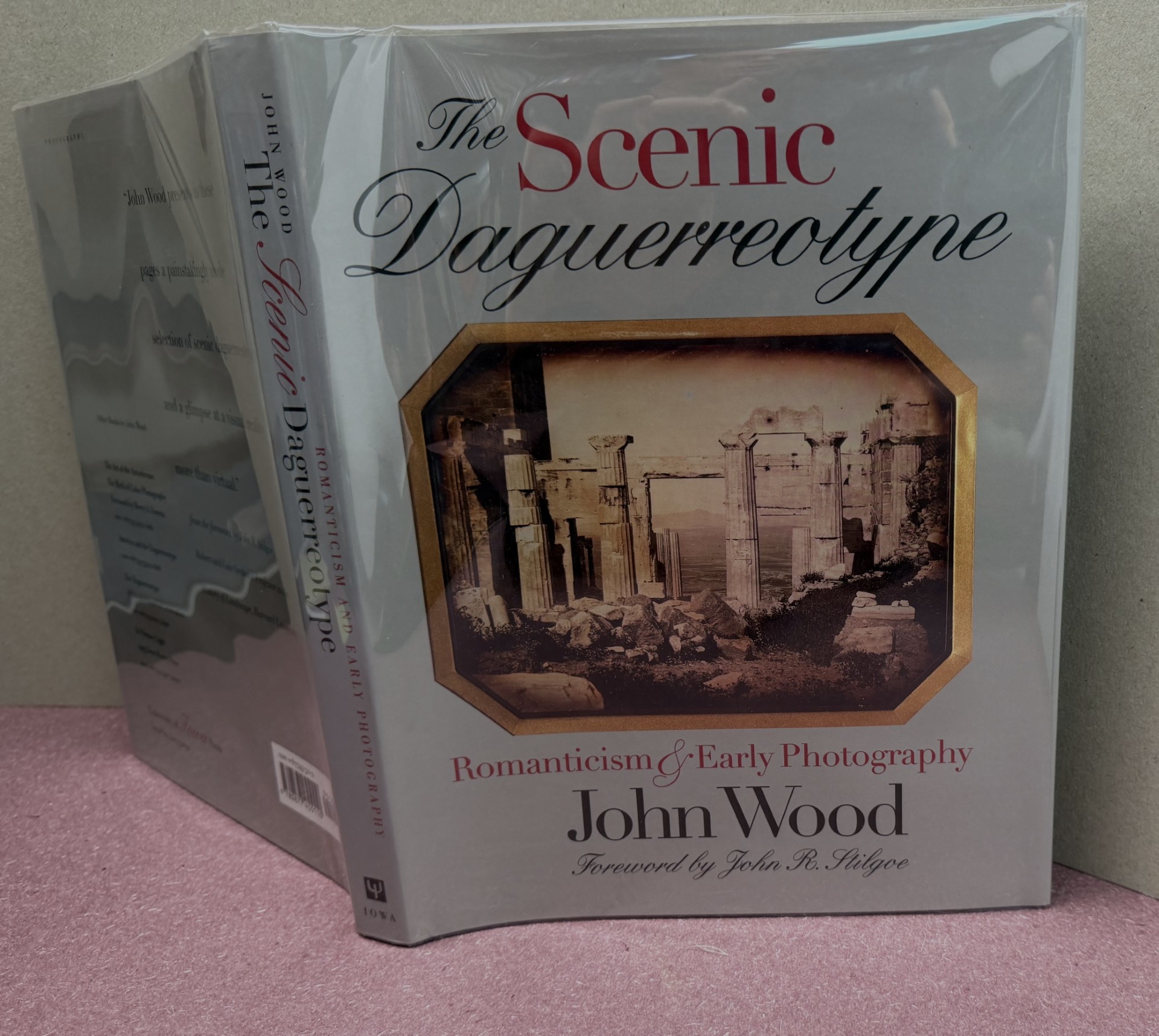 Image for The Scenic Daguerreotype: Romanticism and Early Photography The Scenic Daguerreotype: Romanticism and Early Photography