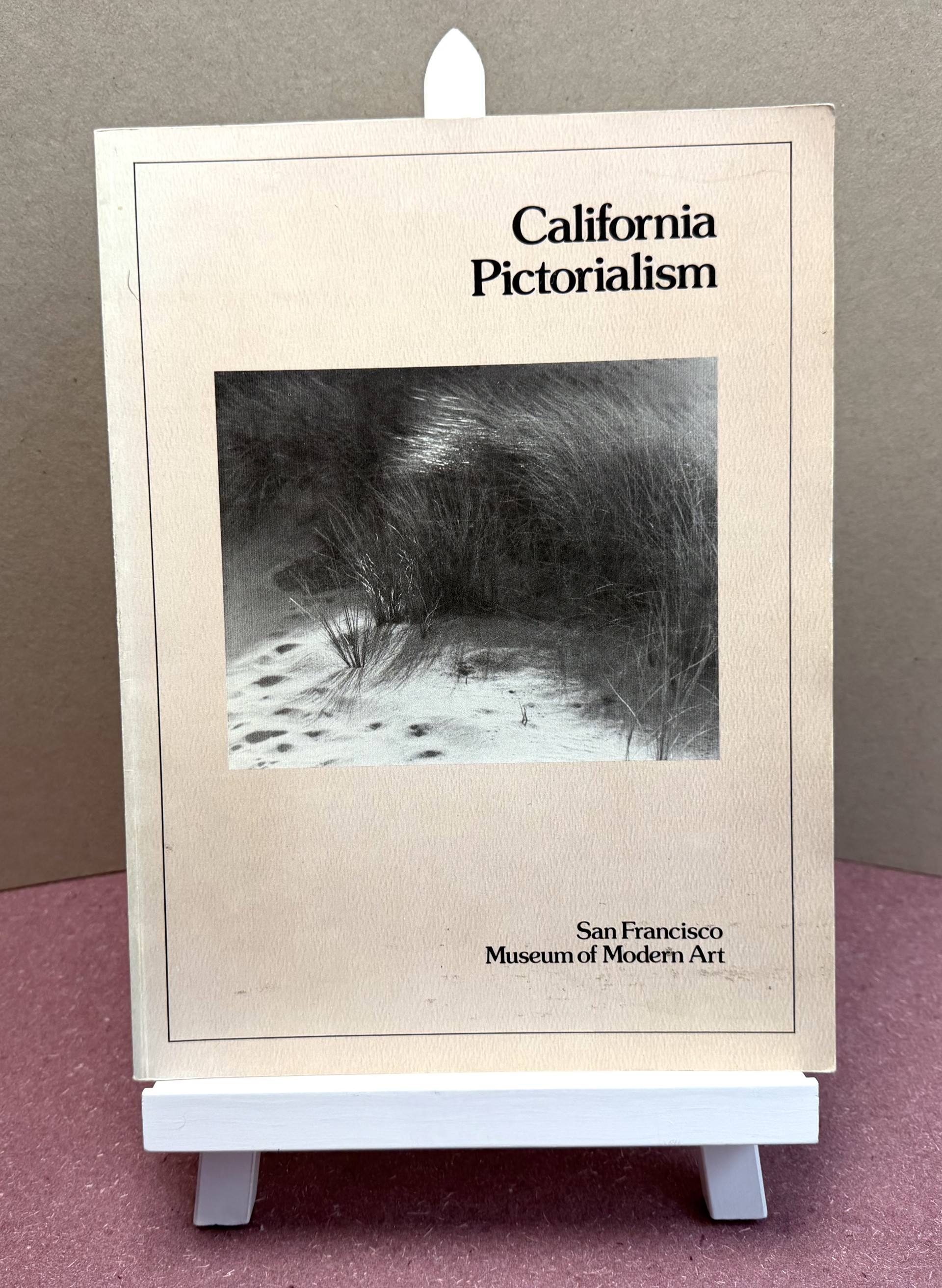 Image for CALIFORNIA PICTORIALISM CALIFORNIA PICTORIALISM