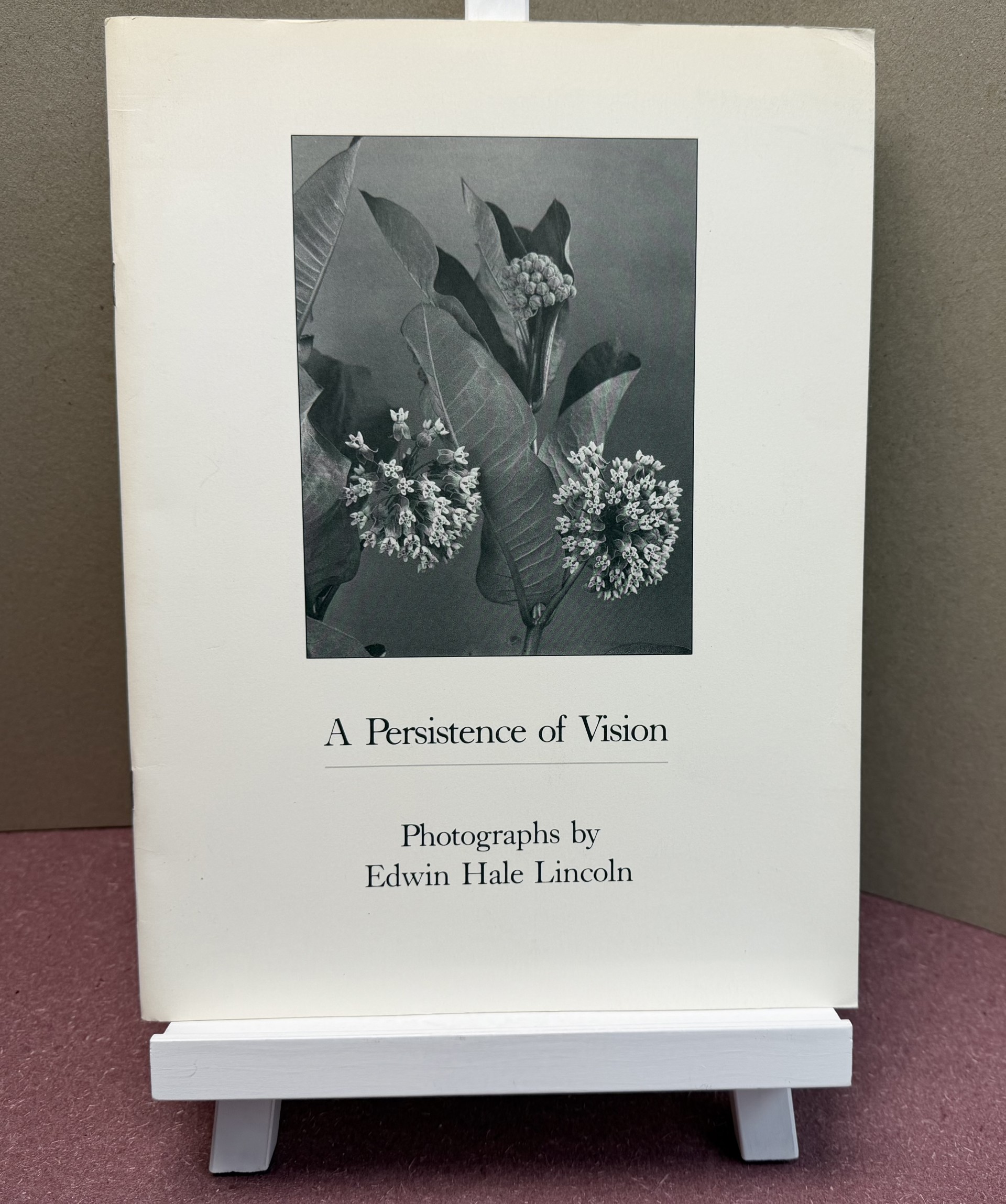 Image for A PERSISTENCE of VISION A PERSISTENCE of VISION