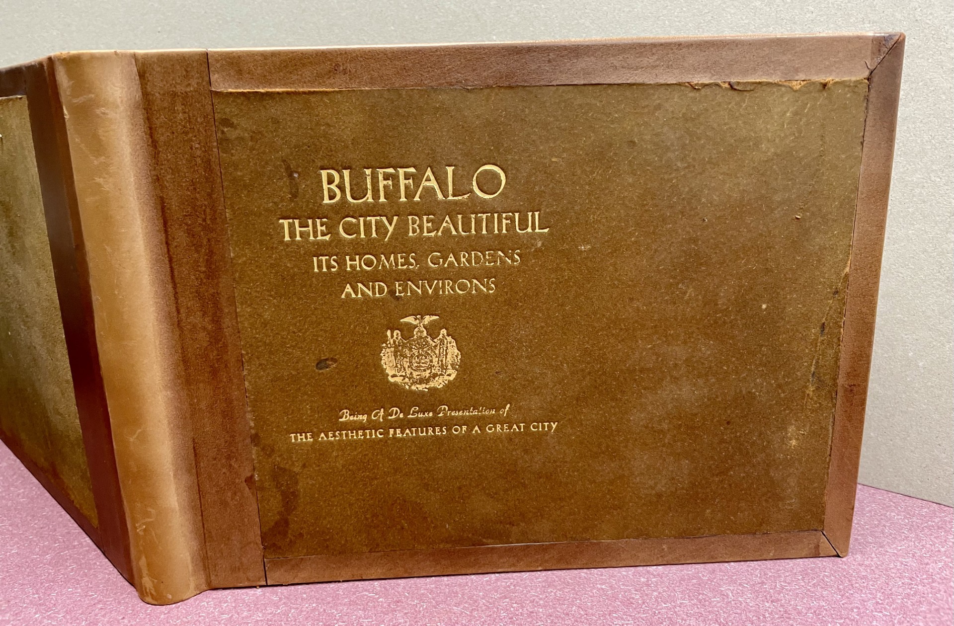 BUFFALO , THE CITY BEAUTIFUL , ITS HOMES , GARDENS AND ENVIRONS , BEING A DELUXE PRESENTATION OF THE AESTHETIC FEATURES OF A GREAT CITY