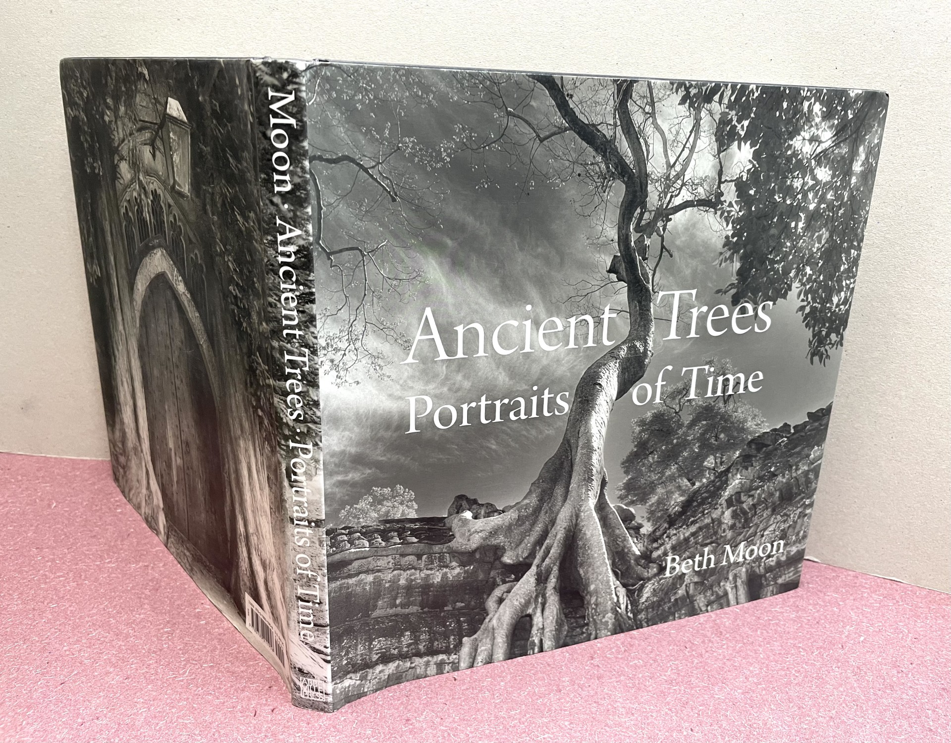 Image for ANCIENT TREES : Portraits of Time ANCIENT TREES : Portraits of Time