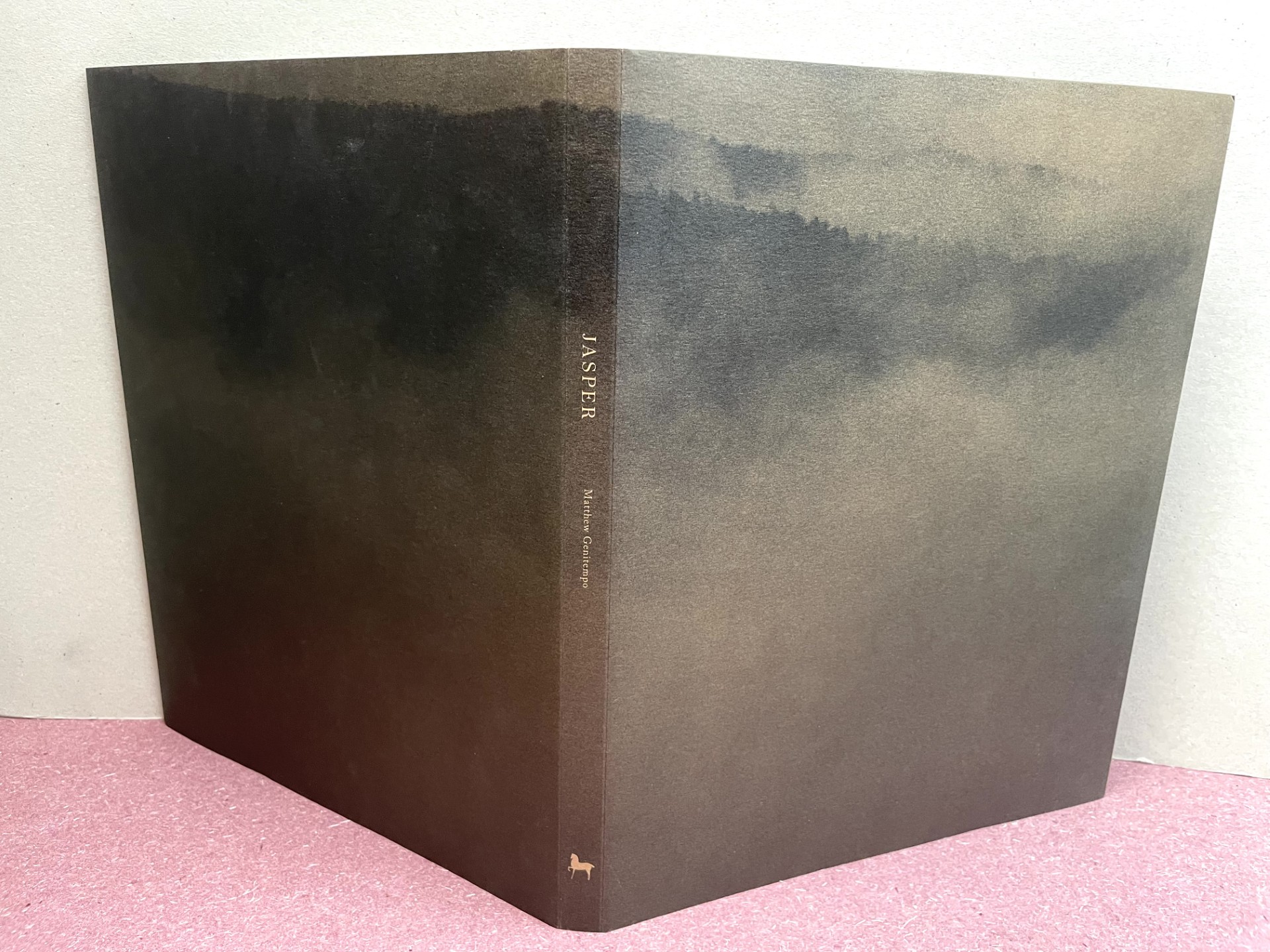 Image for Matthew Genitempo: Jasper Matthew Genitempo: Jasper