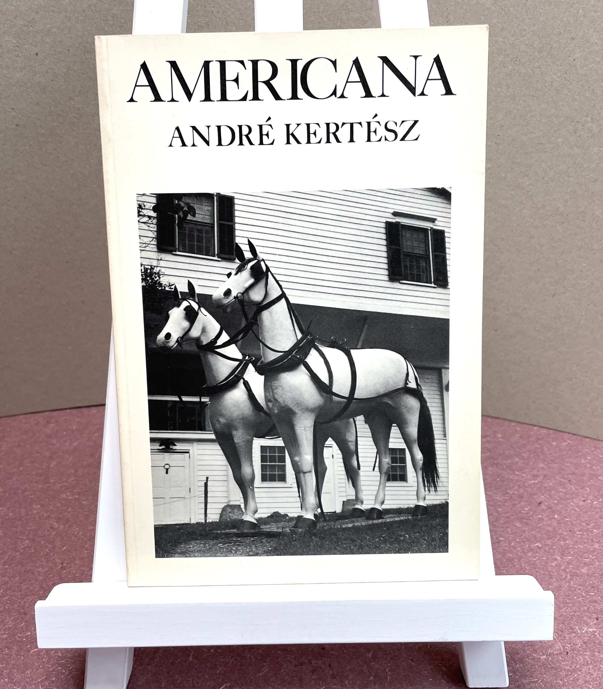 Image for Americana Americana