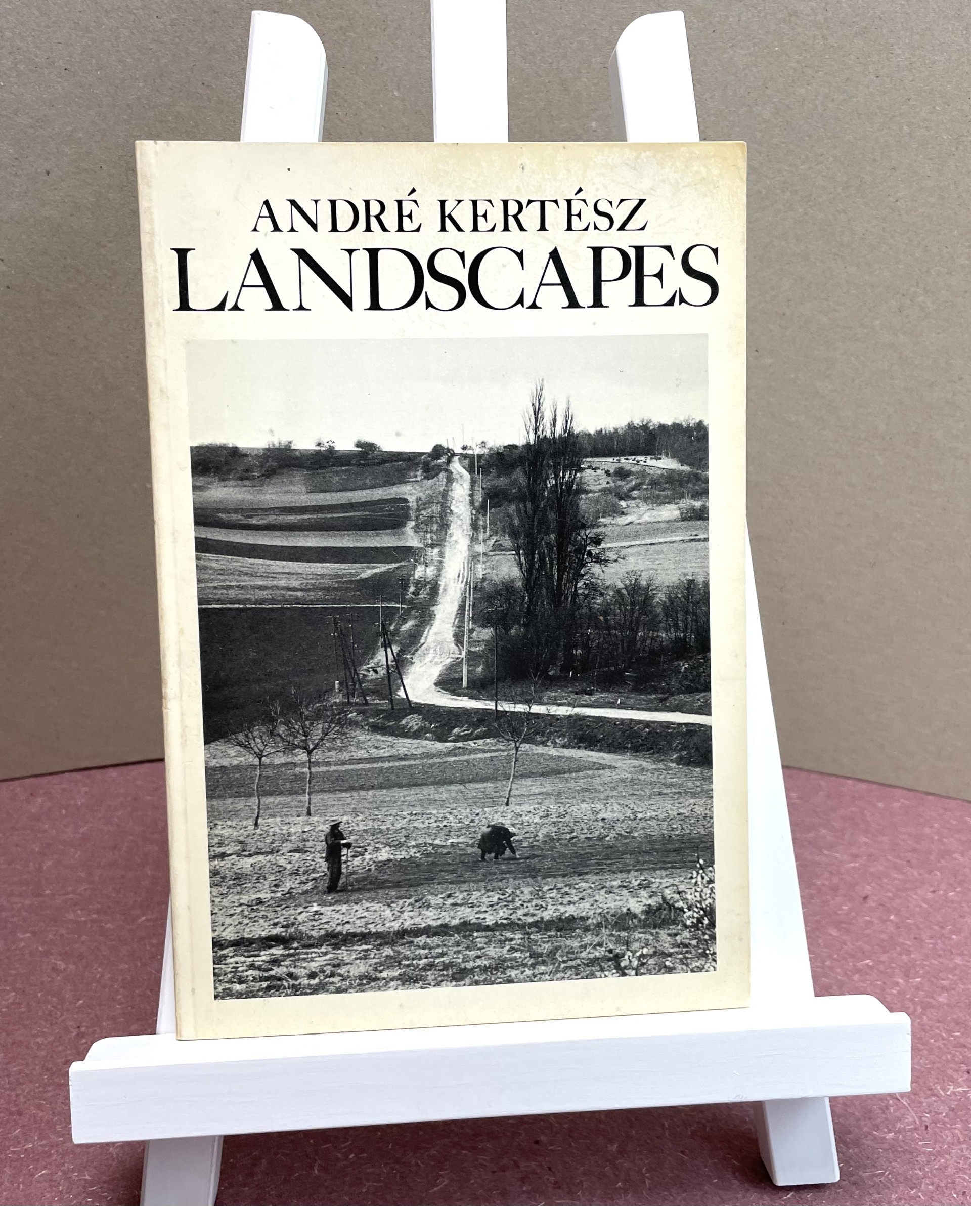 Image for Landscapes Landscapes