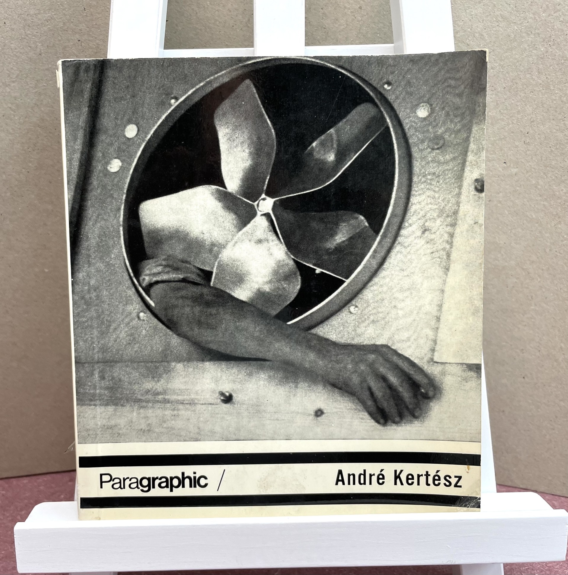 PARAGRAPHIC : Andre Kertesz