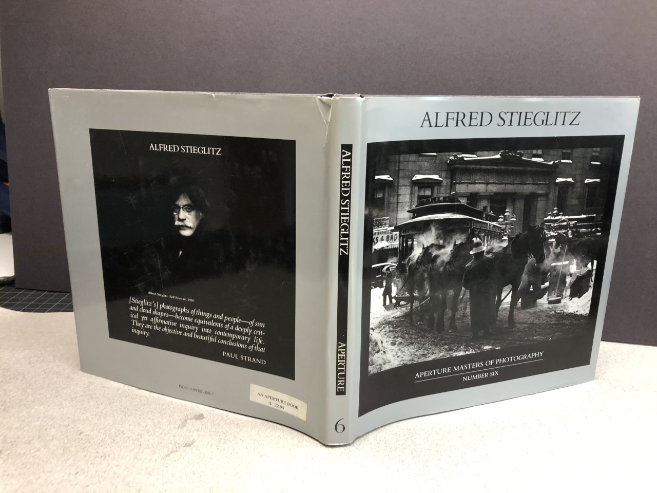 Image for Alfred Stieglitz (Aperture Masters of Photography, Number Six) (Master of Photography)