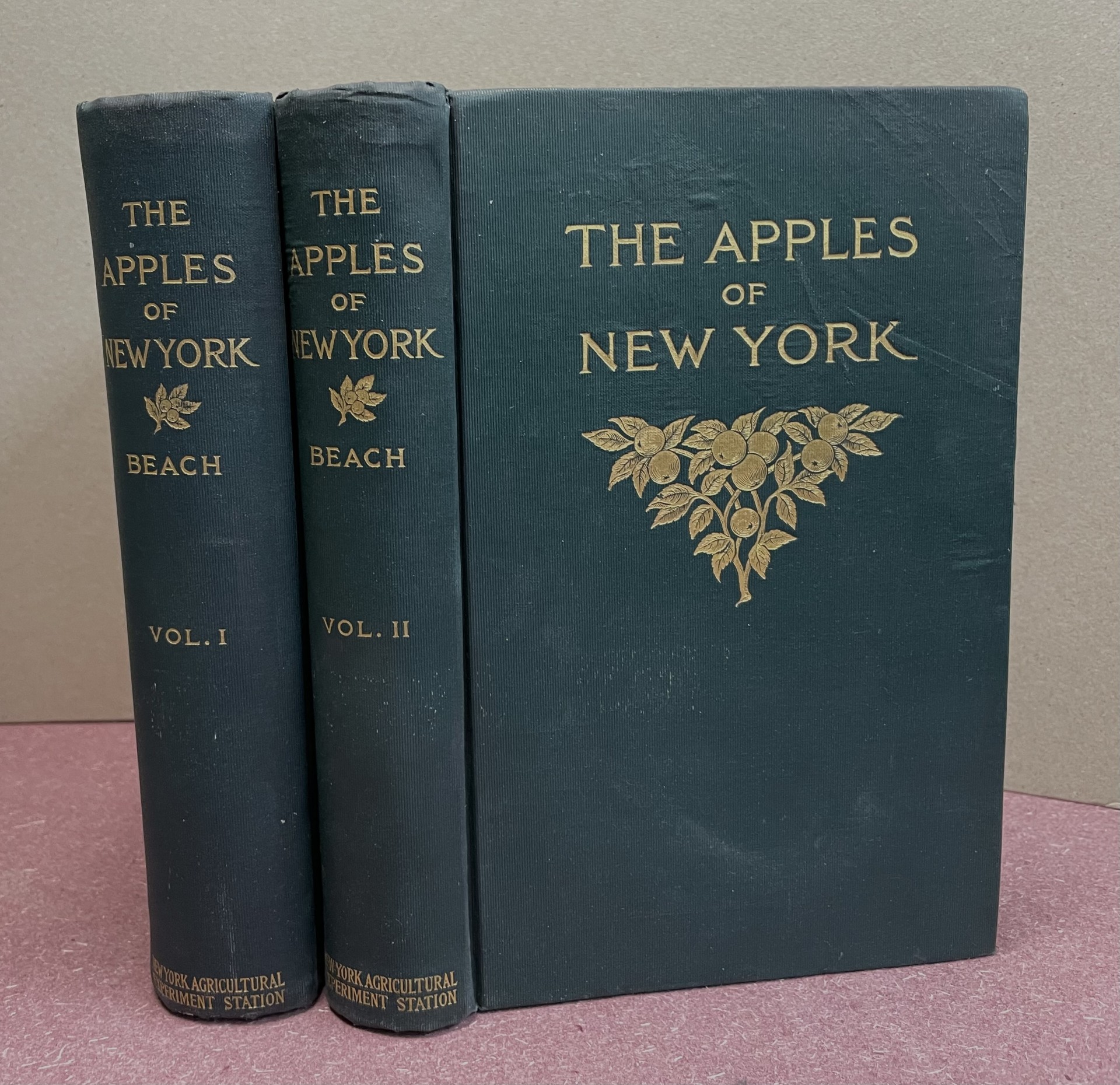 THE APPLES of NEW YORK